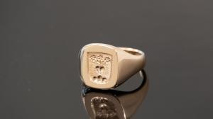 Siegelring von Spitzbarth Juwelier
